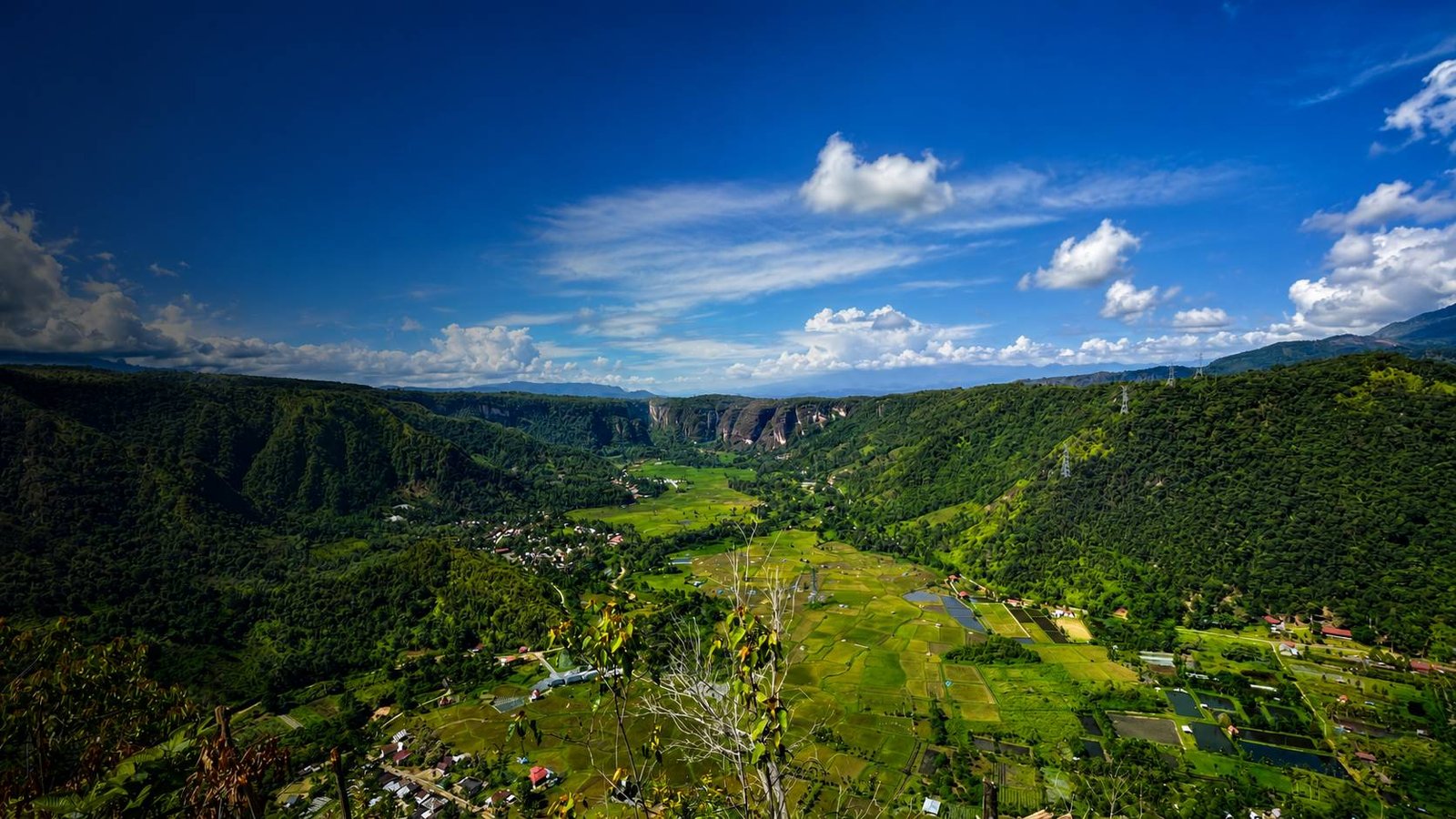 Pasa Harau 2027